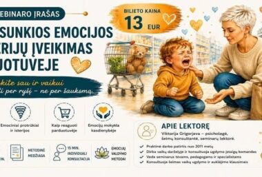 Vebinaro įrašas: “Vaikų “sunkių” emocijų raiška, isterijų parduotuvėje įveikimas” - Event image