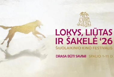 Šiuolaikinio kino festivalis „Lokys, liūtas ir šakelė“ - Image de l’événement