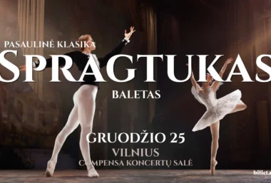 Pasaulinė Klasika: Baletas ”Spragtukas” | VILNIUS - Event image