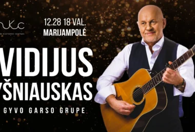 Šventinis Ovidijaus Vyšniausko ir gyvo garso grupės koncertas - Pasākuma attēls