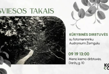 Fotografijos dirbtuvės ”Šviesos takais” su menininku Audroniumi Žemguliu - Renginio paveikslėlis