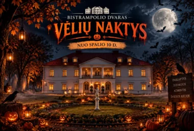 ŠVIESŲ FESTIVALIS ”BISTRAMPOLIO VĖLIŲ NAKTYS” - Immagine dell’evento
