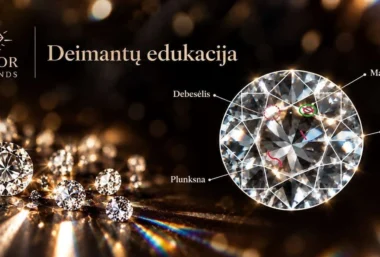 Deimantų Edukacija - Imagen del evento