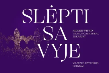 Ekskursija po parodą „Slėpti savyje“ su apsilankymu Katedros požemiuose - Event image