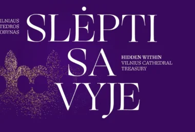 Ekskursija su muziejaus gidu po parodą „Slėpti savyje“ - Event image