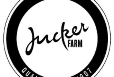 Kürbisausstellung Bächlihof Jona - Event image