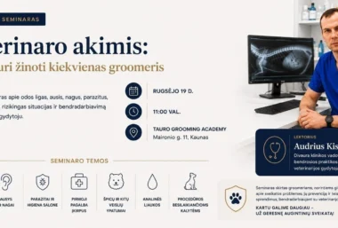 Veterinaro akimis: tai, ką turi žinoti kiekvienas groomeris – profesinis seminaras su veterinaru Audriumi Kiseliu - Event image