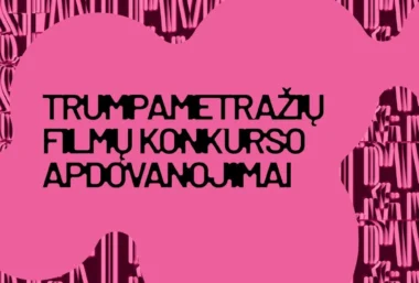 SCA’26: Trumpametražių filmų konkursinės programos „Europos blyksniai“ apdovanojimų ceremonija (2026) - 活动图片