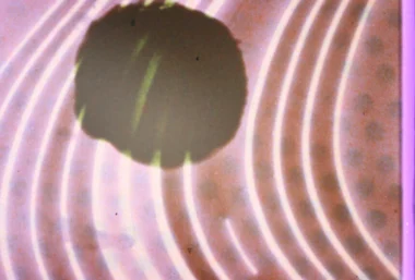 Len Lye: energies - Event image