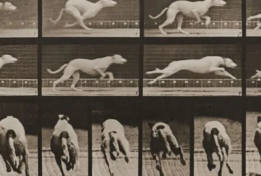 Eadweard Muybridge and Hiroshi Sugimoto’s exhibition - Renginio paveikslėlis