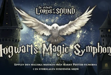 HOGWARTS MAGIC SYMPHONY - Renginio paveikslėlis